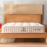 BLOOM mattress